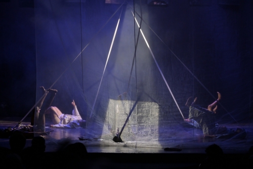 Y-What refuses to Fade